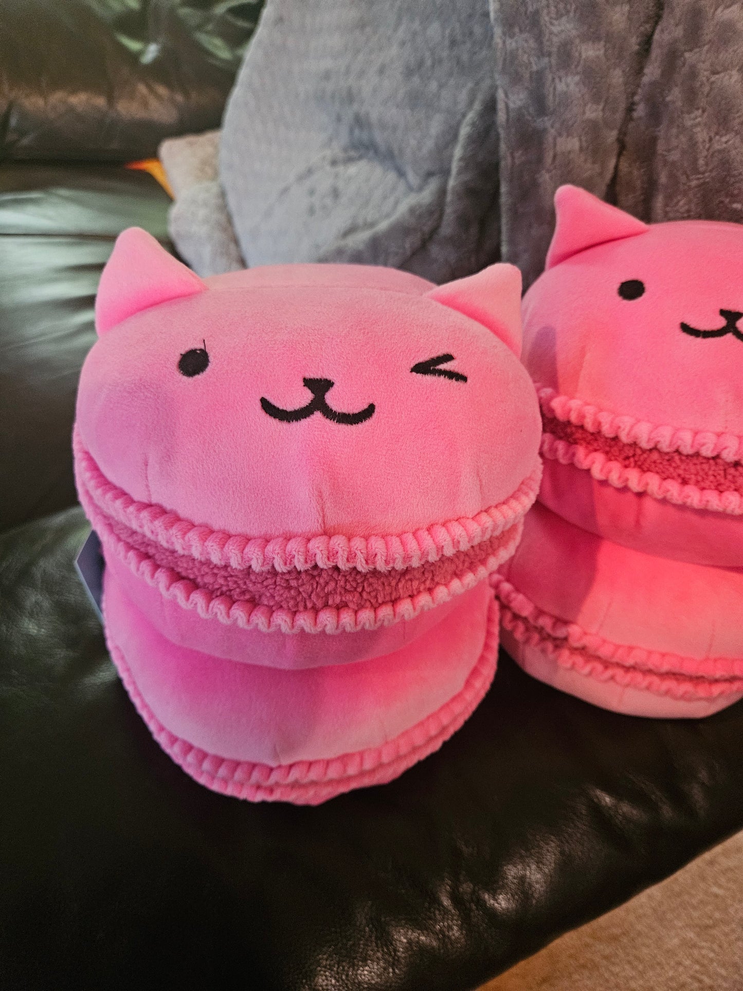Pillowfort Cat Macaron Plush